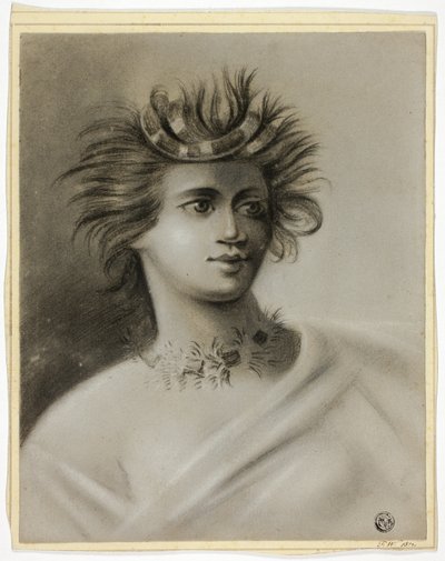 Les voyages de Cook en Polynésie - Unknown artist