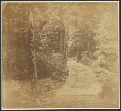 [Route de Corduroy sur le chemin de Harper
