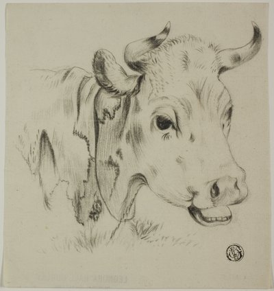 Tête de vache - Unknown artist