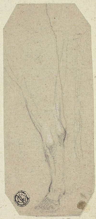 Jambe de vache - Unknown artist