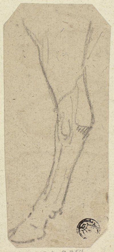 Jambe de vache - Unknown artist