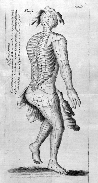 De Acupunctura - Unknown artist