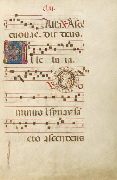 Initiale A décorée ; Initiale D décorée - Unknown artist