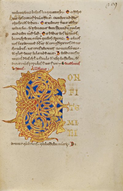 Initiale C décorée - Unknown artist