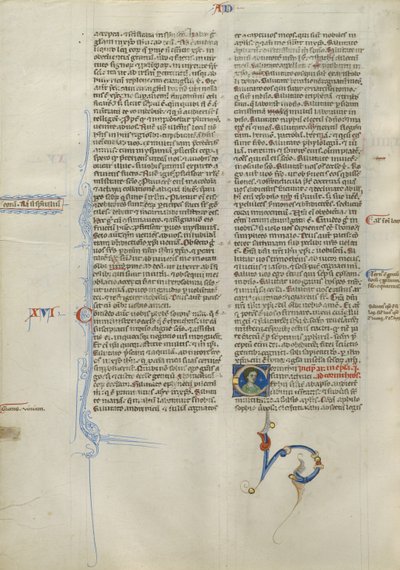 Initiale C décorée - Unknown artist