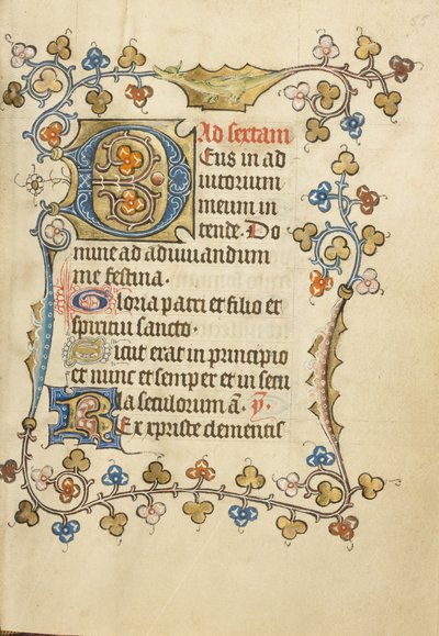 Initiale "D" décorée - Unknown artist
