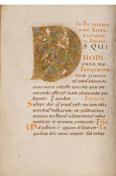 Initiale D décorée - Unknown artist