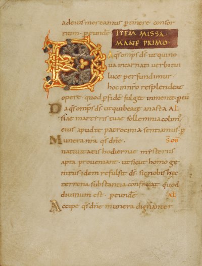 Initiale D décorée - Unknown artist