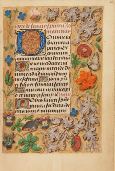 Initiale D décorée - Unknown artist
