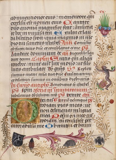Initiale D décorée - Unknown artist