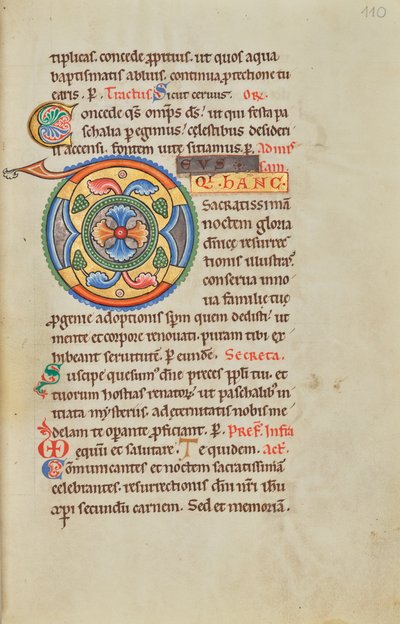 Initiale D décorée - Unknown artist