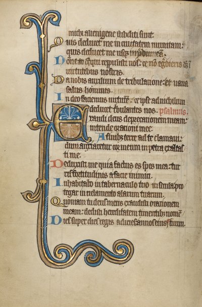 Initiale E décorée - Unknown artist