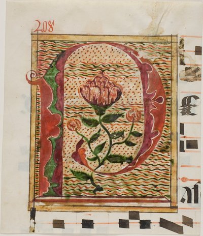 Initiale "P" décorée de fleurs provenant d
