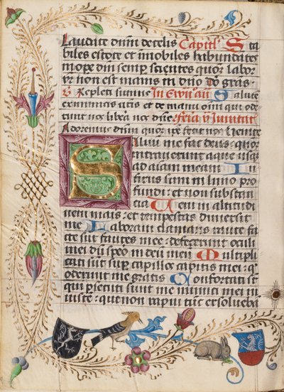 Initiale S décorée - Unknown artist