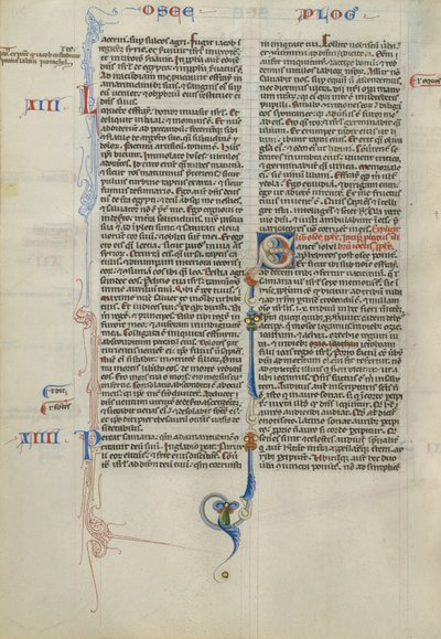 Initiale S décorée - Unknown artist