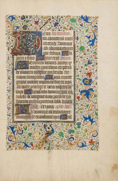 Page de texte décorée - Unknown artist