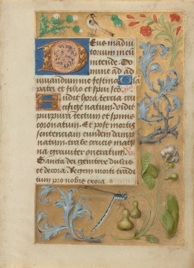 Page de texte décorée - Unknown artist