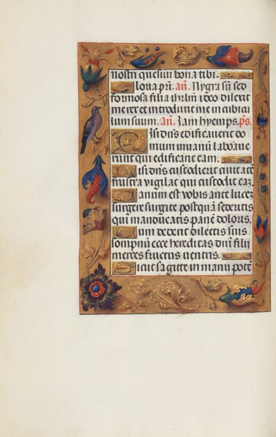 Page de texte décorée - Unknown artist