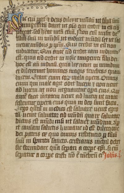 Page de texte décorée - Unknown artist