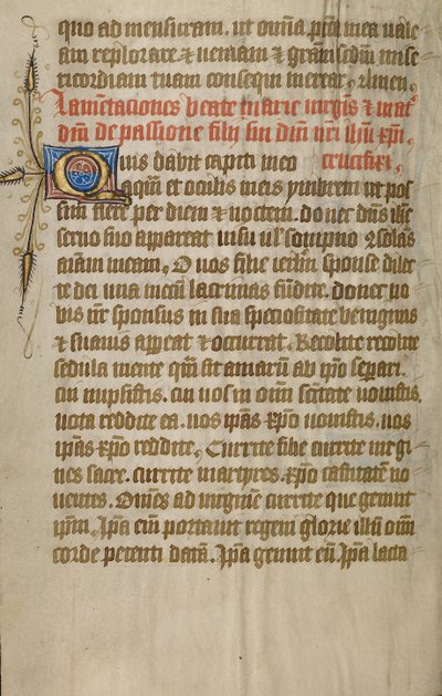 Page de texte décorée - Unknown artist
