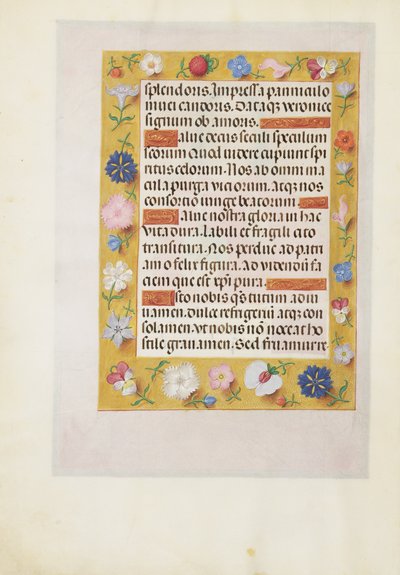 Page de texte décorée - Unknown artist