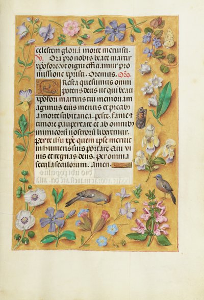 Page de texte décorée - Unknown artist