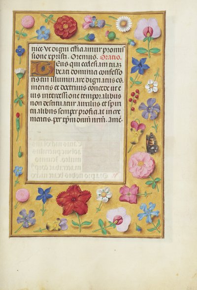 Page de texte décorée - Unknown artist