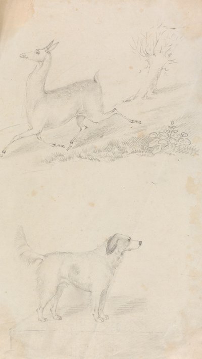 Cerf et chien - Unknown artist