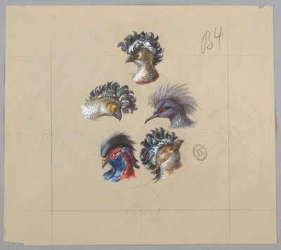 Design pour papier peint et textile : Oiseaux - Unknown artist