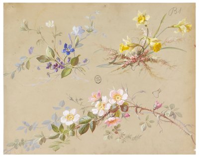 Design pour Papier Peint et Textile : Fleurs - Unknown artist