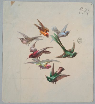 Conception pour papier peint et textiles : Oiseaux - Unknown artist