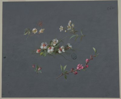 Conception pour Papier Peint et Textiles: Fleurs - Unknown artist