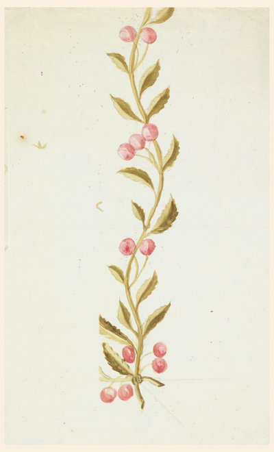Conception pour des bordures tissées ou brodées - Unknown artist