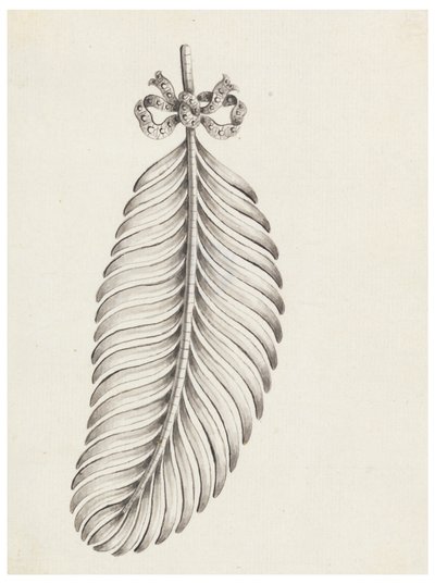 Design pour une broche en forme de plume - Unknown artist
