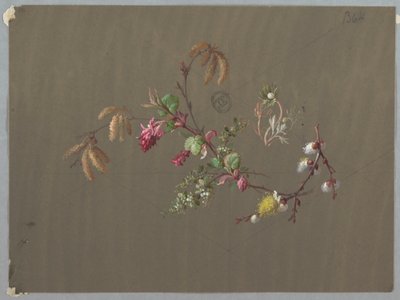 Conceptions pour Papier Peint et Textiles : Fleurs - Unknown artist