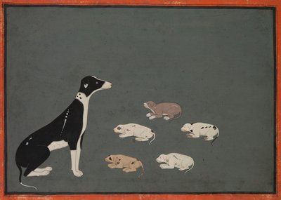 Chien avec des chiots - Unknown artist