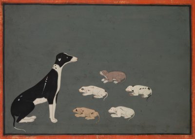 Chien avec ses chiots - Unknown artist