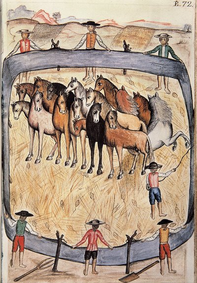 Dressage de chevaux sauvages, du livre "Trujillo del Peru" ou "Códice Martínez Compañón", par Baltazar Martinez Compañón y Bujanda, évêque de Trujillo (1782-1785) - Unknown artist