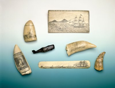 Dent de cachalot gravée, milieu du 19e siècle - Unknown artist