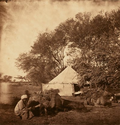 [Oasis de Faiyum] - Unknown artist