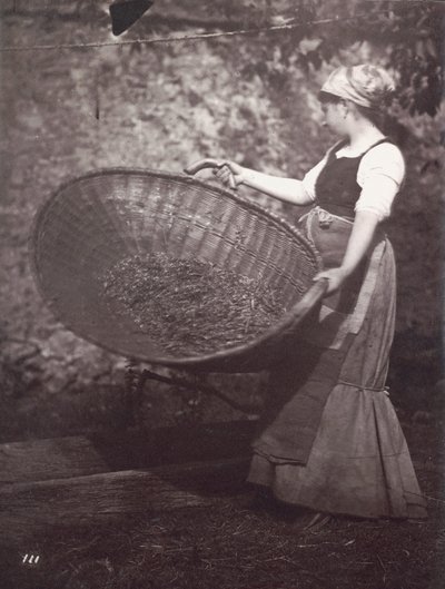 [Paysanne avec un panier à vanner] - Unknown artist