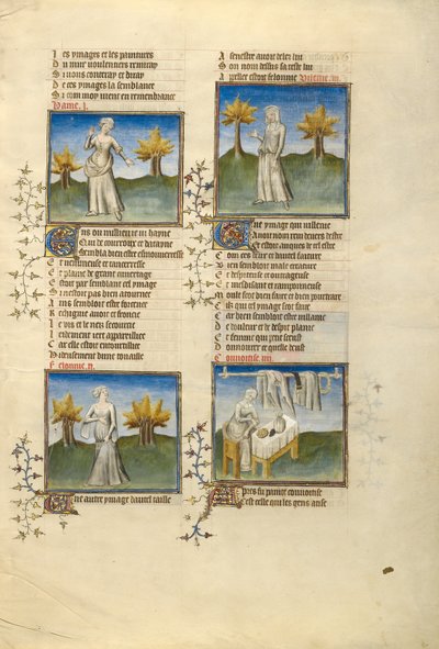 Personnifications féminines de la haine, du mal, de la méchanceté et de la cupidité - Unknown artist