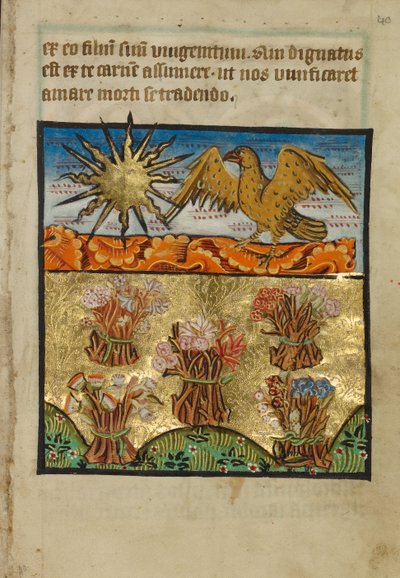 Cinq bouquets de fleurs - Unknown artist