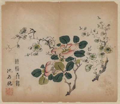 Prunus en fleurs - Unknown artist