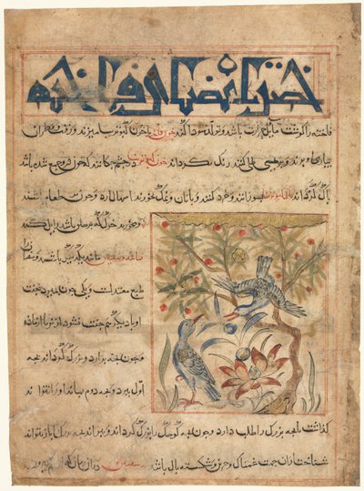 Folio d