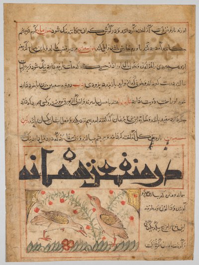 Folio d