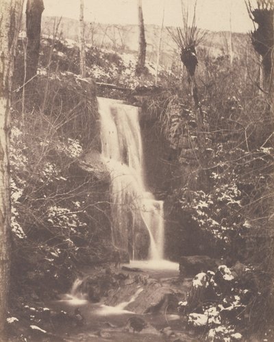 [Scène de forêt avec cascade et ruisseau] - Unknown artist