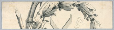 Fragment d