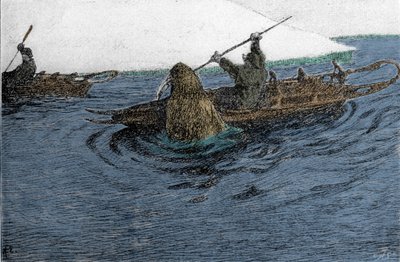Fridtjof Nansen (1861-1930), explorateur norvégien, attaqué par un morse lors de l