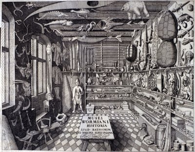 Frontispice de Musei Wormiani Historia - Unknown artist